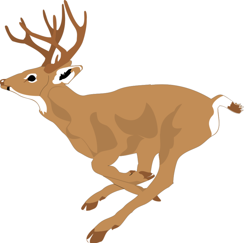 Deer Vector Art Free Clipart - Free to use Clip Art Resource