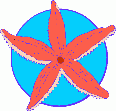 Free Starfish Clipart | Free Download Clip Art | Free Clip Art ...