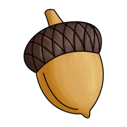 1000+ images about acorn