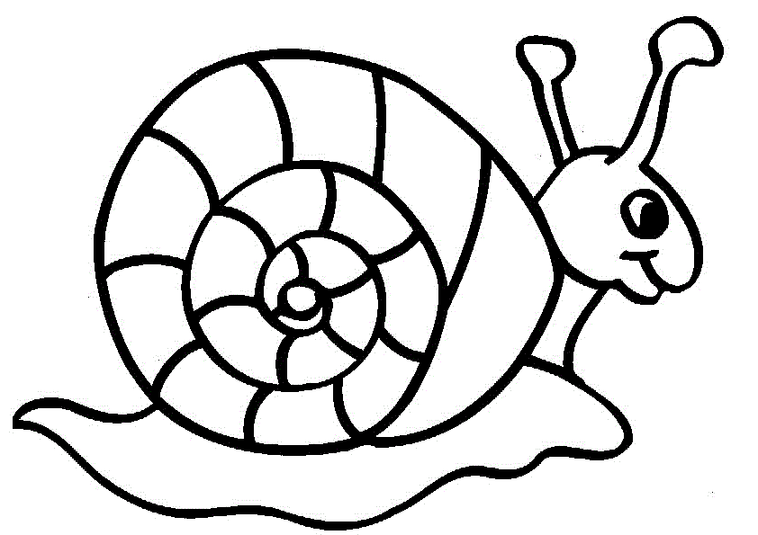 Cute Snail Animal Coloring Pages For Kids #fe6 : Printable Snails ...