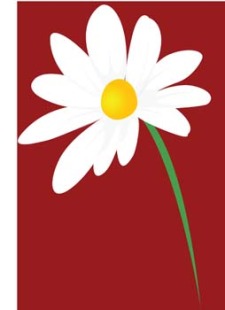 Romashka daisy Flower 7 Free Vector / 4Vector