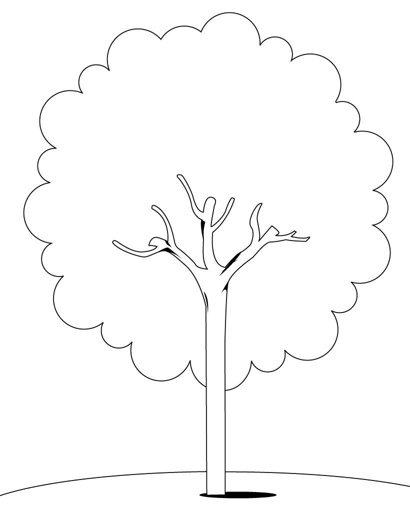 Tree coloring pages to download and print for free