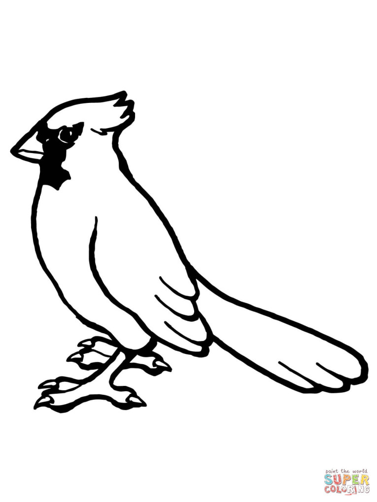 Cardinal Bird And Flowering Virginia State Flower Coloring Page ...