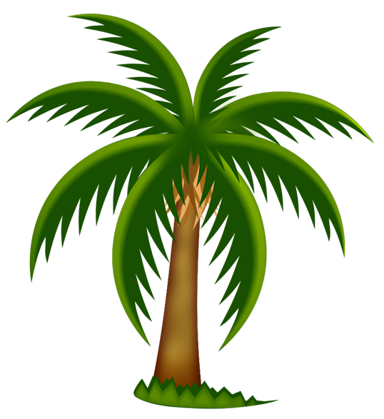 Cartoon palm tree clipart transparent