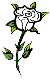 Rose Clipart