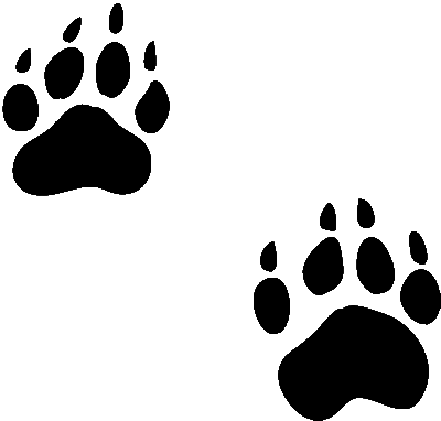 Tiger paw print clip art