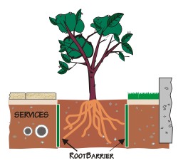 Tree root barrier Brisbane - Root barriers for trees Brisbane