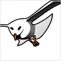 Sea Gull Seagull clip art Vector clip art - Free vector for free ...