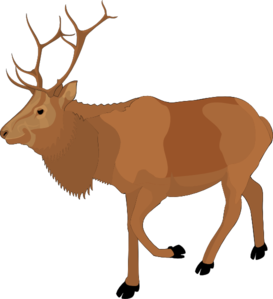 Reindeer 5 clip art - vector clip art online, royalty free ...