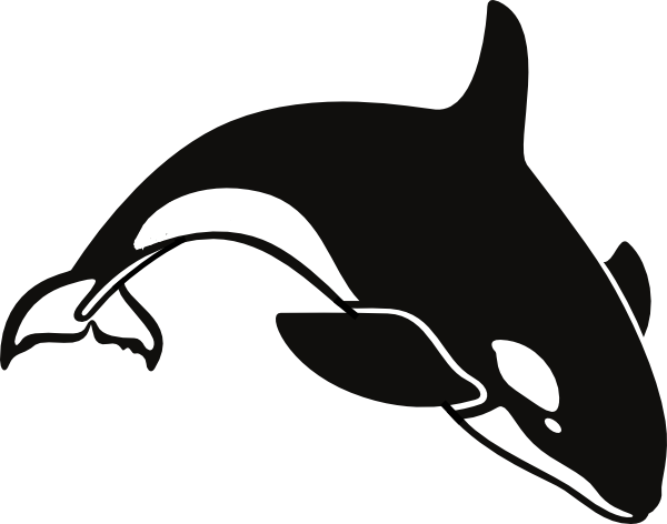 Orca clip art - vector clip art online, royalty free & public domain