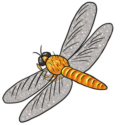 Dragon Fly Clip Art