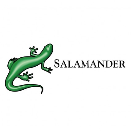 salamander_0_71308.jpg