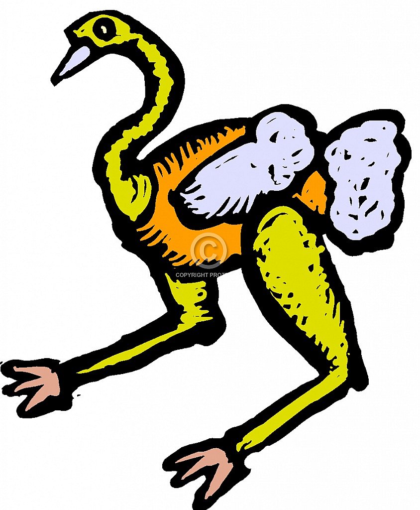 Free Ostrich Clip Art – Diehard Images, LLC - Royalty-free Stock ...
