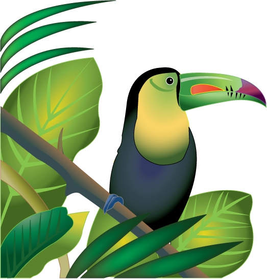 Free Rainforest Animals Clip Art By Phillip Martin Sloth