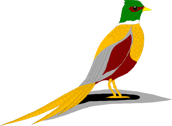 Ring Necked Pheasant Clip Art - vector clip art ...