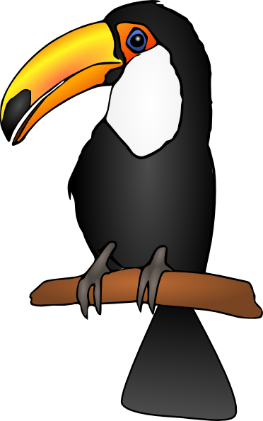 Toucan clipart
