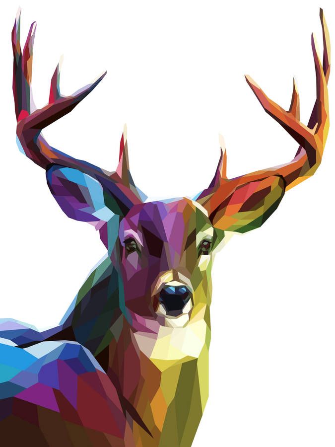 Deer Art | Deer Paintings, Art and ...