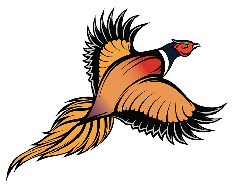 Pheasant Bird Clip Art, Vector Images & Illustrations