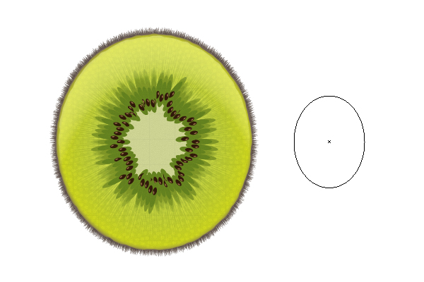 Create a Sliced Kiwi Fruit With Only One Shape in Adobe Illustrator