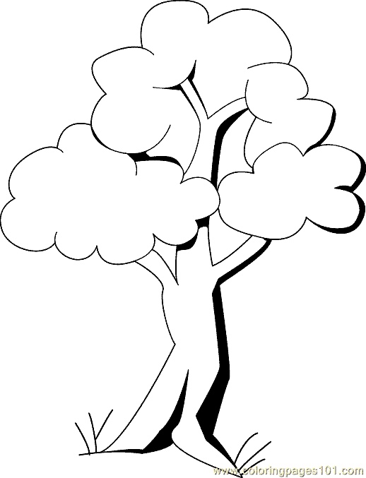 Coloring Book Tree #5155