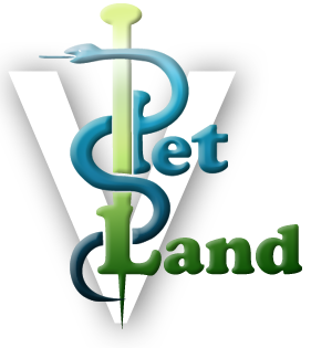 Pet Land, Veterinarska ambulanta Beograd