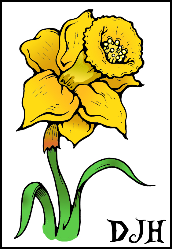 Drawings Of Daffodils | Free Download Clip Art | Free Clip Art ...