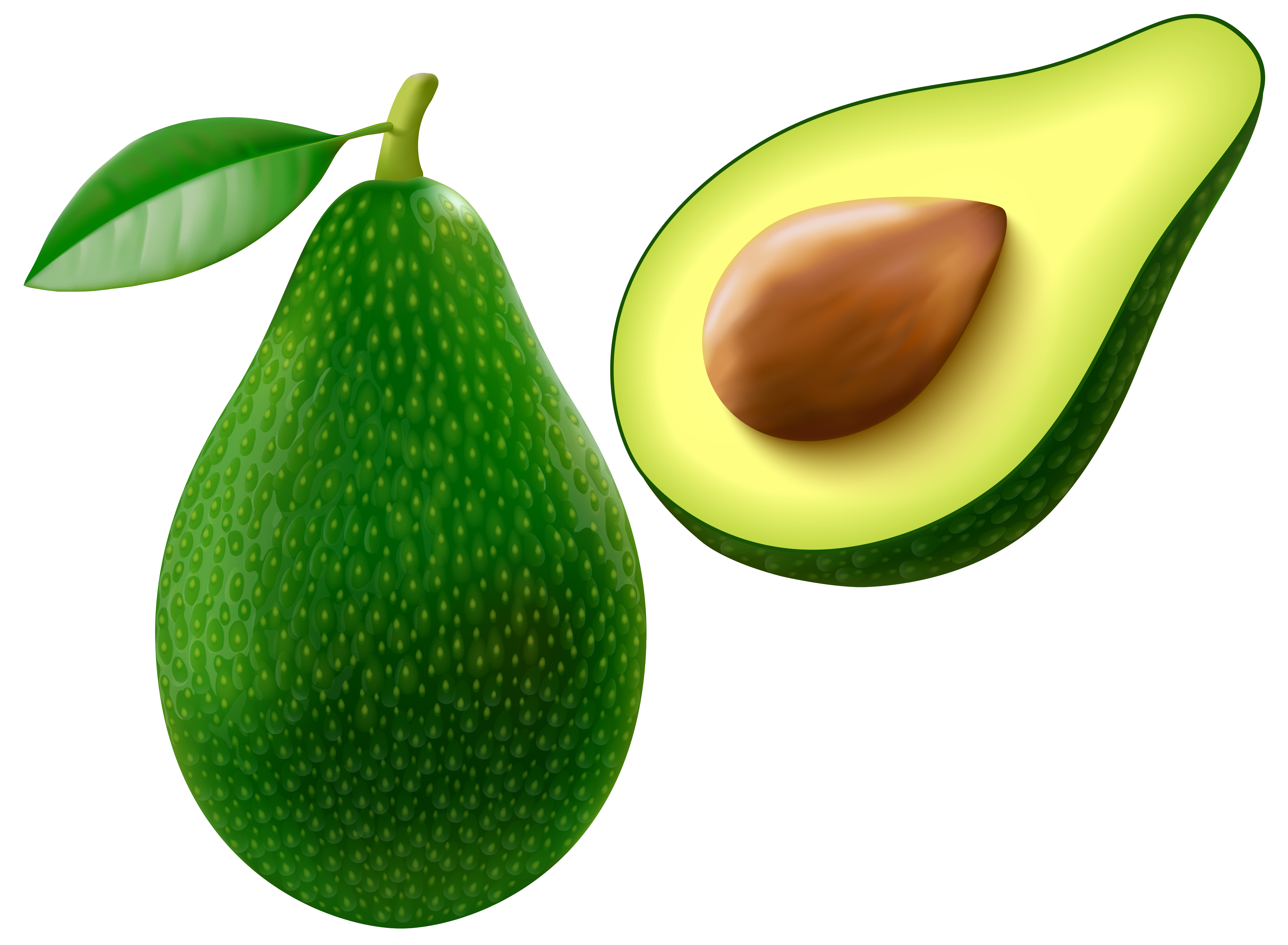 Avocado Clipart | Free Download Clip Art | Free Clip Art | on ...