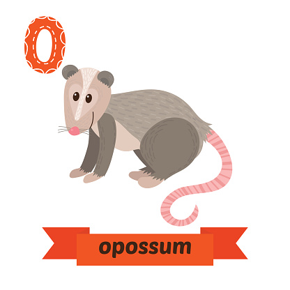 A Of A Possum Cartoon Clip Art, Vector Images & Illustrations