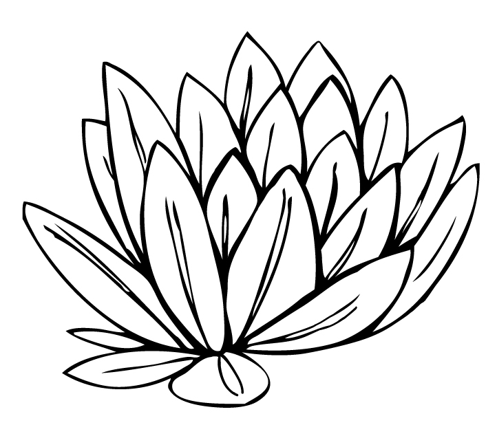 Water Lily Clip Art