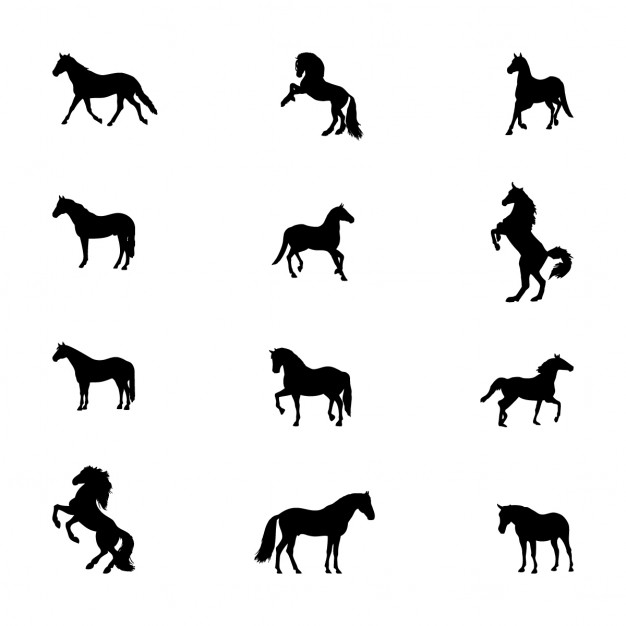 Horse Vectors, Photos and PSD files | Free Download