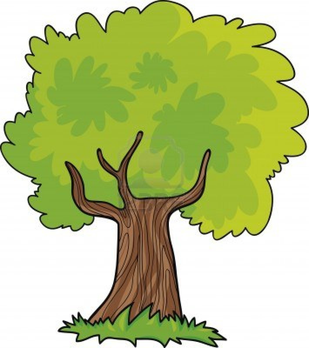 Animated Tree Pictures