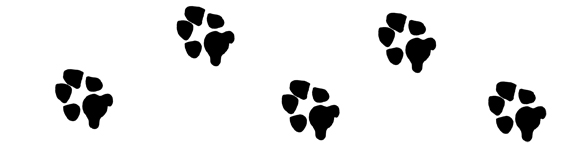 Dog Paw Print Clipart