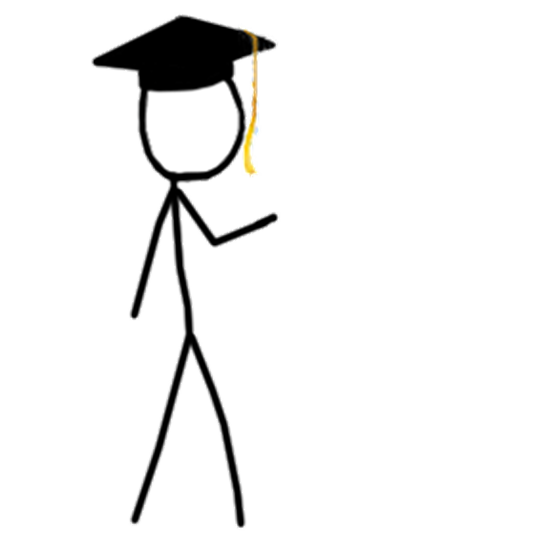 Horizon Net wins the Wiki Ninja Stick Figures - Graduate ...