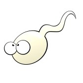 sperm : funny cartoon sperm - Free Clipart Images