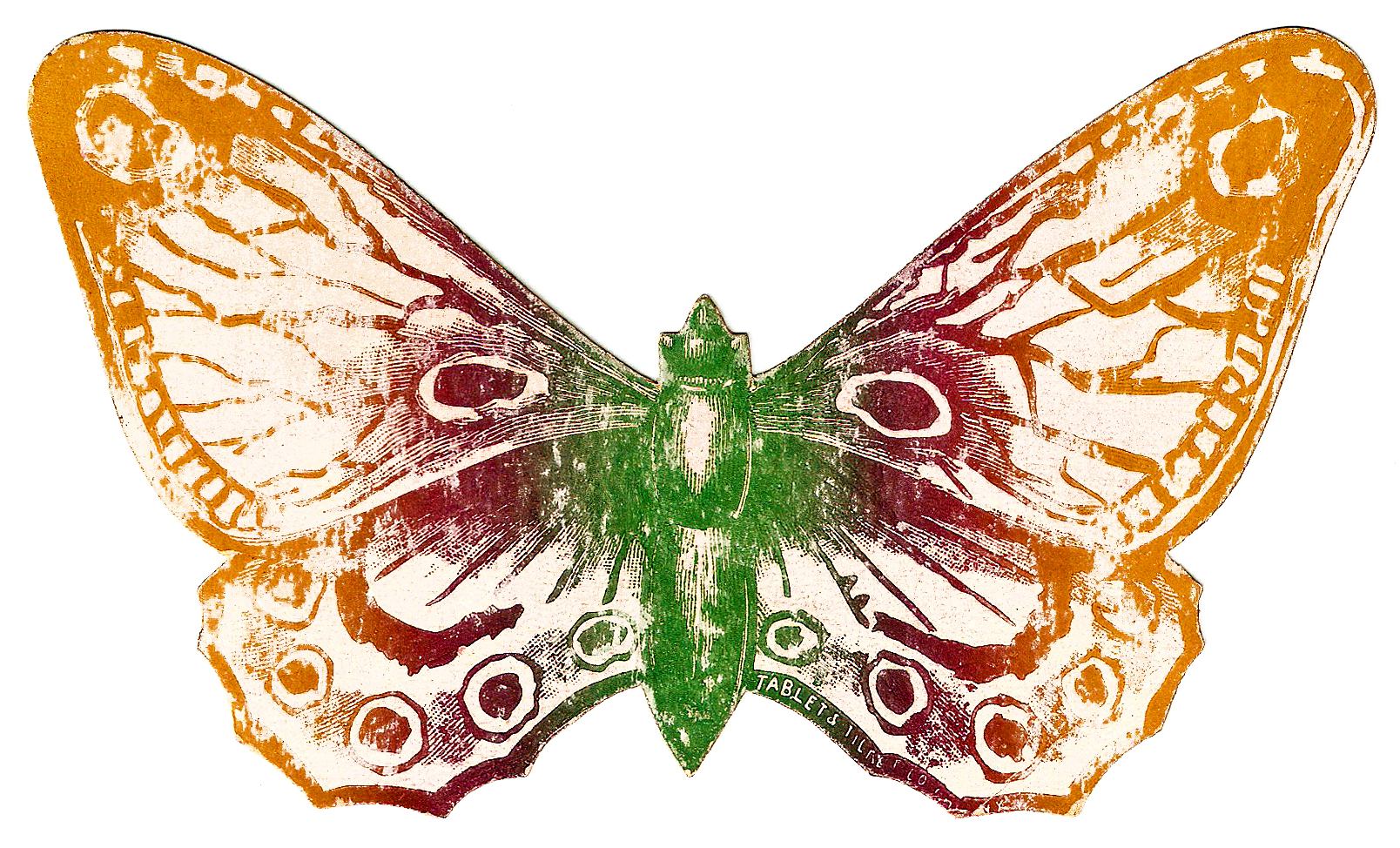 Images For > Vintage Butterfly Art