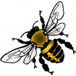 How to 'Bee' an Activist | Emerities
