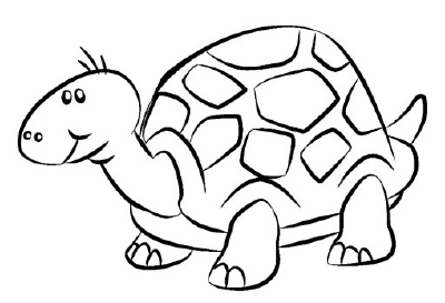 TLC "How to Draw a Turtle"