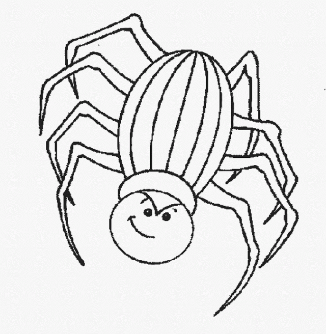 Spider - Free Printable Coloring Pages