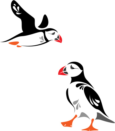 Puffin Clip Art, Vector Images & Illustrations