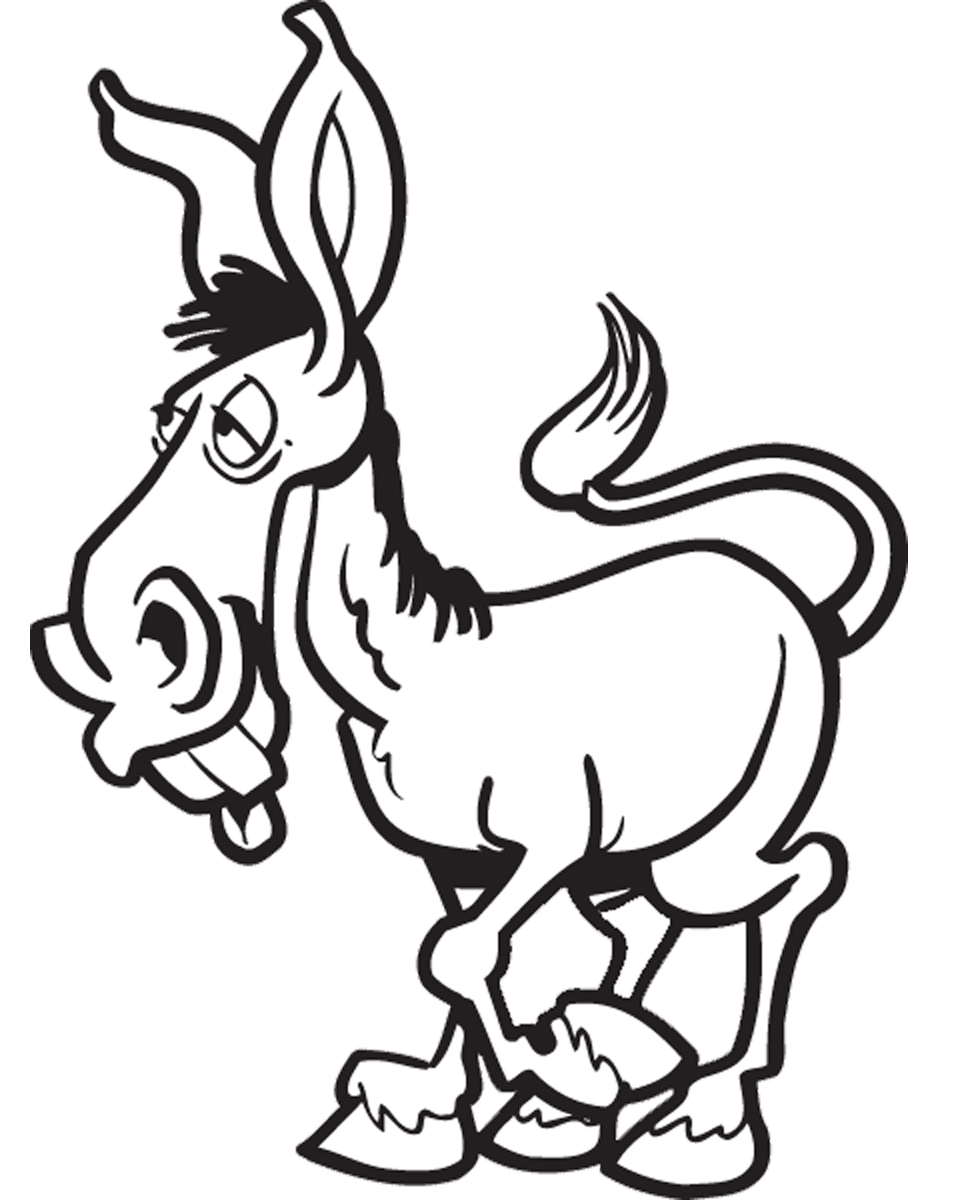 What a Donkey Can Teach You About Communication and Teamwork | Bob ...