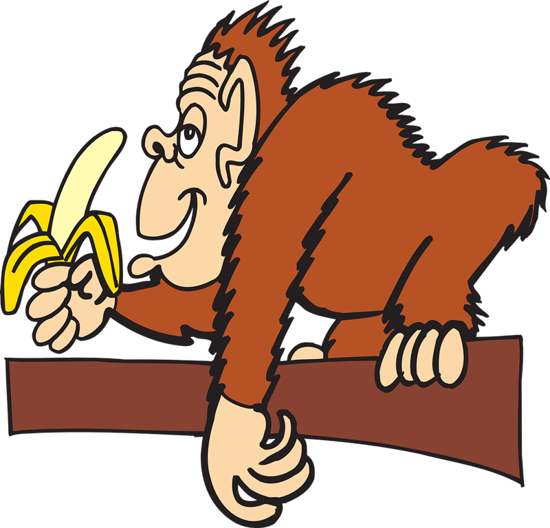 Monkey eating banana clipart - ClipartFox