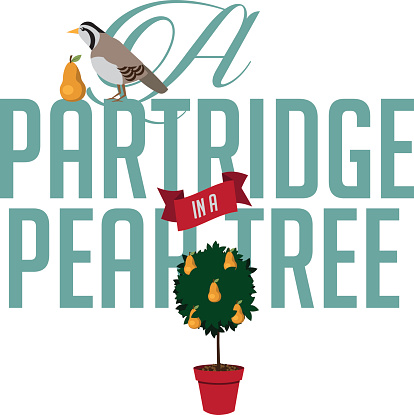 Partridge In A Pear Tree Clip Art, Vector Images & Illustrations ...