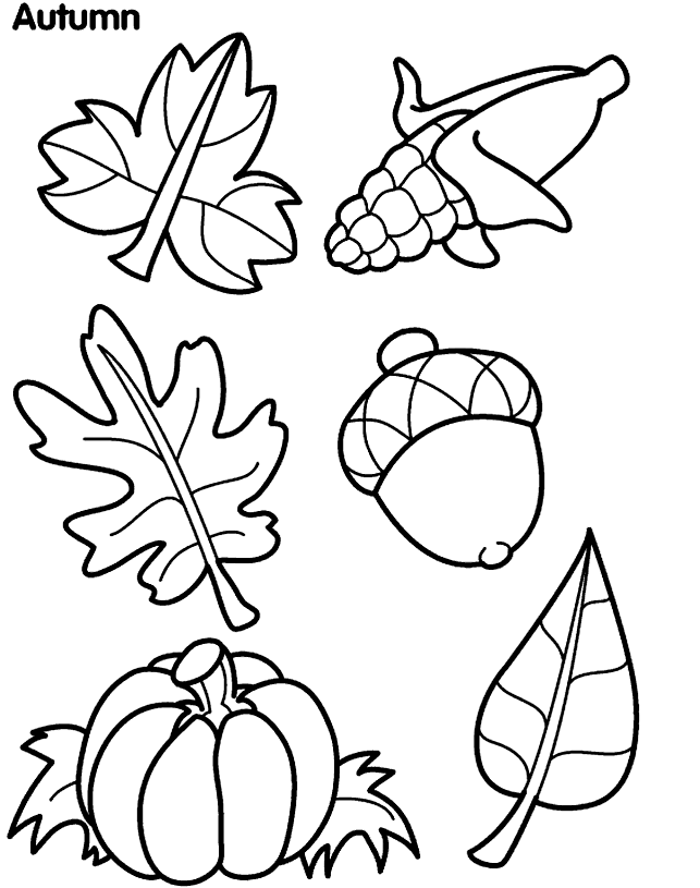 Download Printable Leaves Coloring Pages Printable - Pipress.net