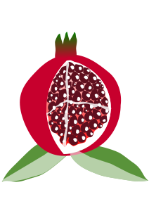 pomegranate fruit SVG Vector file, vector clip art svg file ...