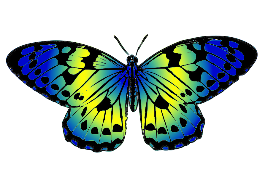 Blue butterfly clipart png