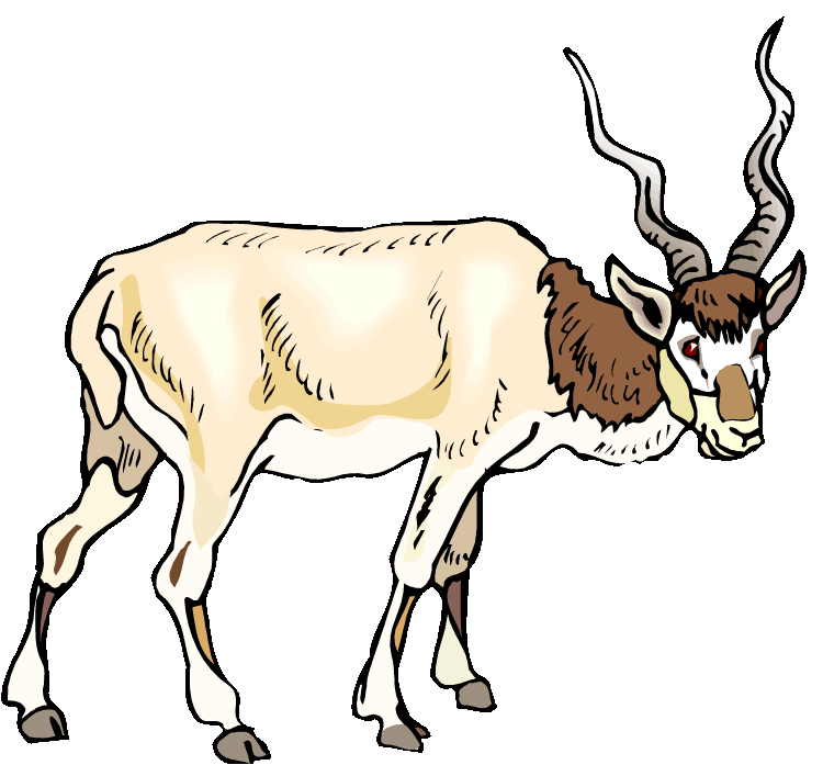 Addax Clipart | Free Download Clip Art | Free Clip Art | on ...