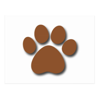 Playful Dog Paw Print Cards | Zazzle