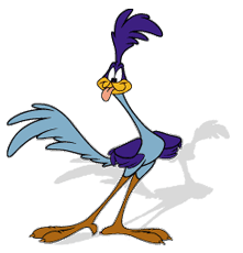 Pics Of Cartoon Road Runner - ClipArt Best