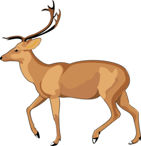 Antelope - ClipArt Best