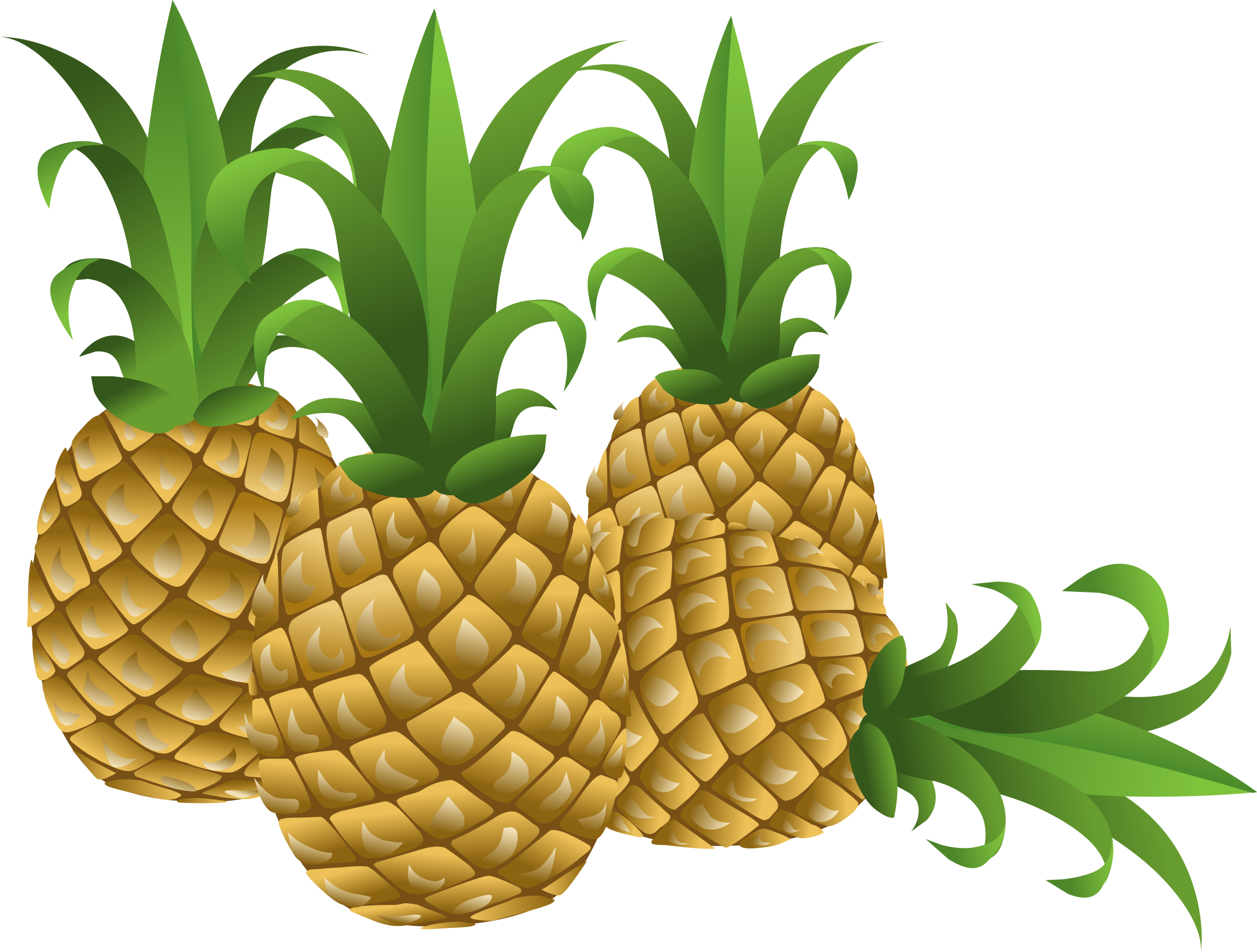 Clipart - Food Pineapple